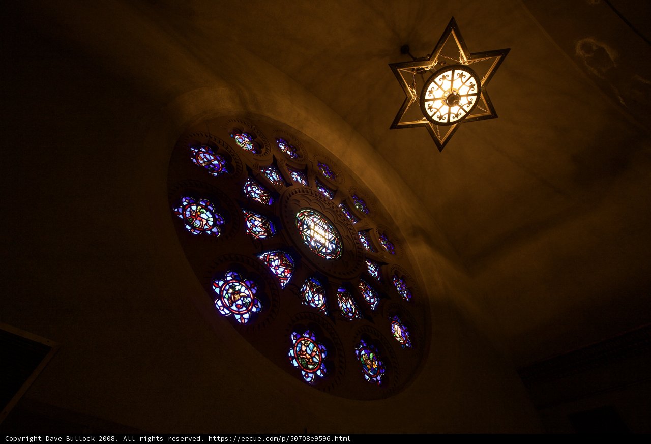 Illuminated Beauty