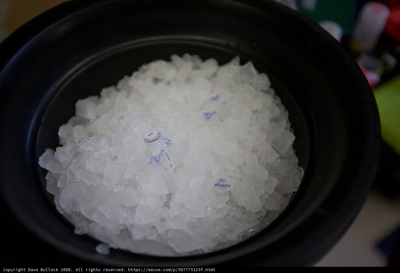 Cool and Crystalline Caption: A bowl of ice glistens in the sunlight, awaiting the perfect seasoning.