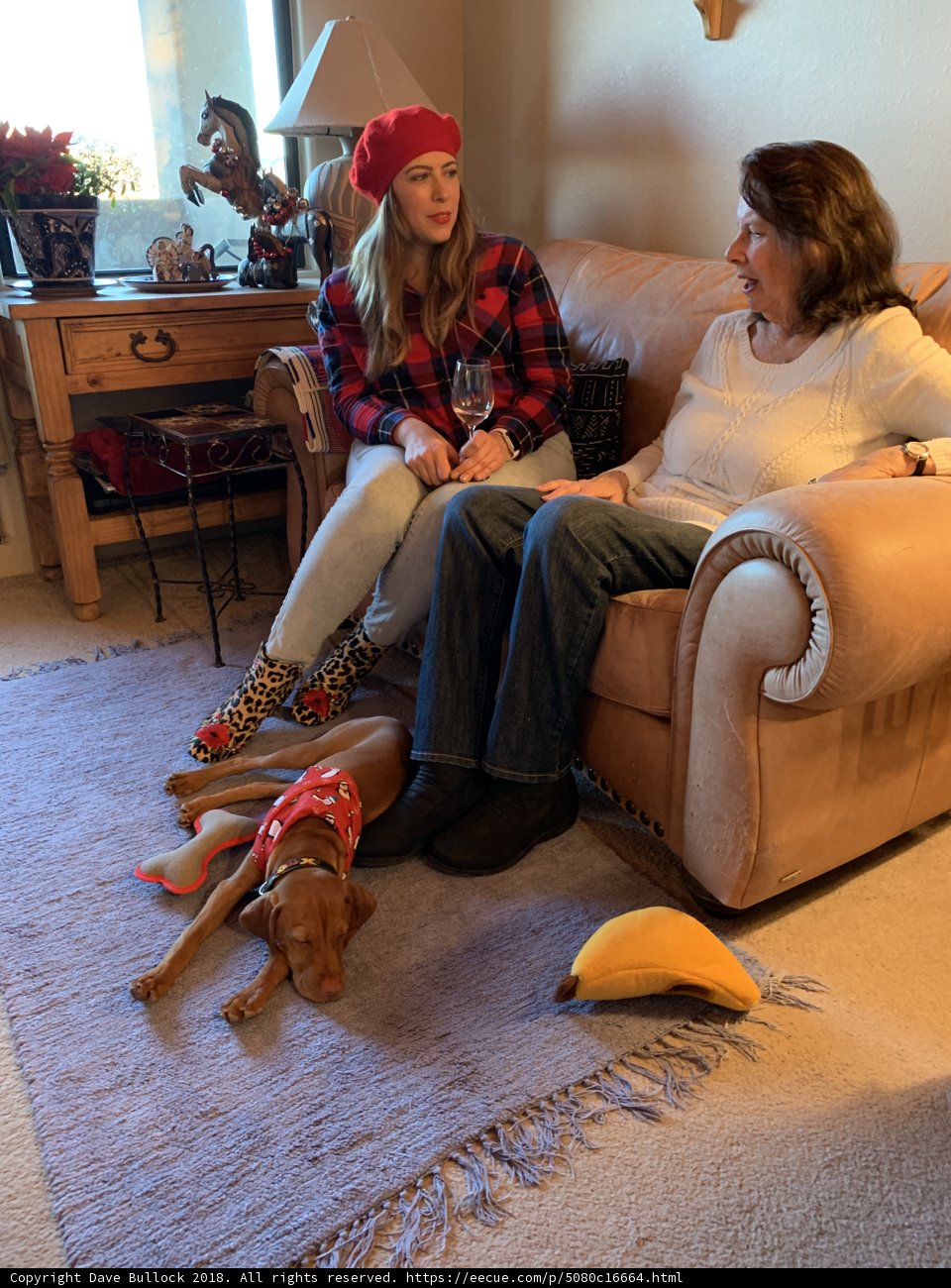 Cozy Christmas Eve on the Couch