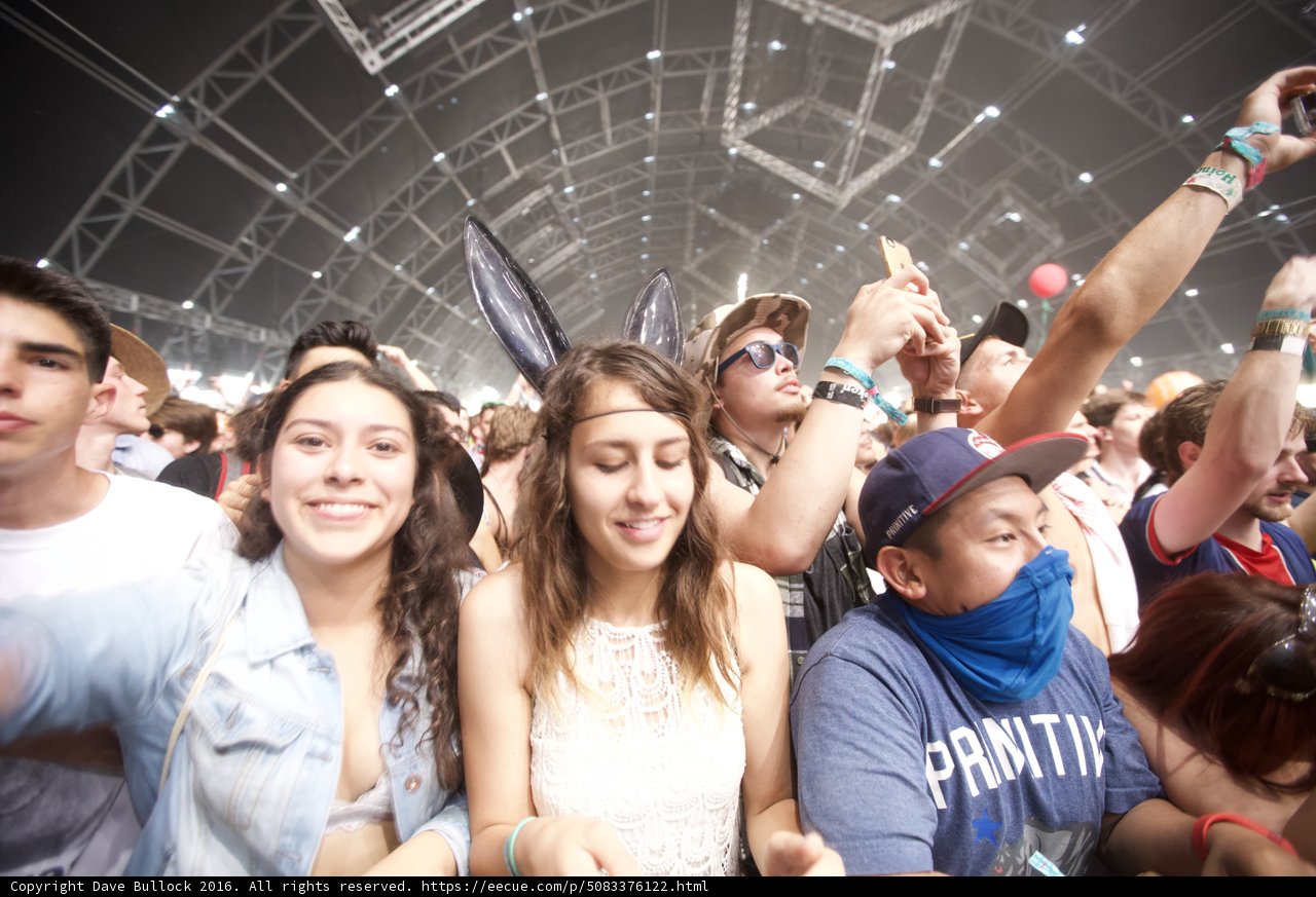 Coachella 2016 Crowd