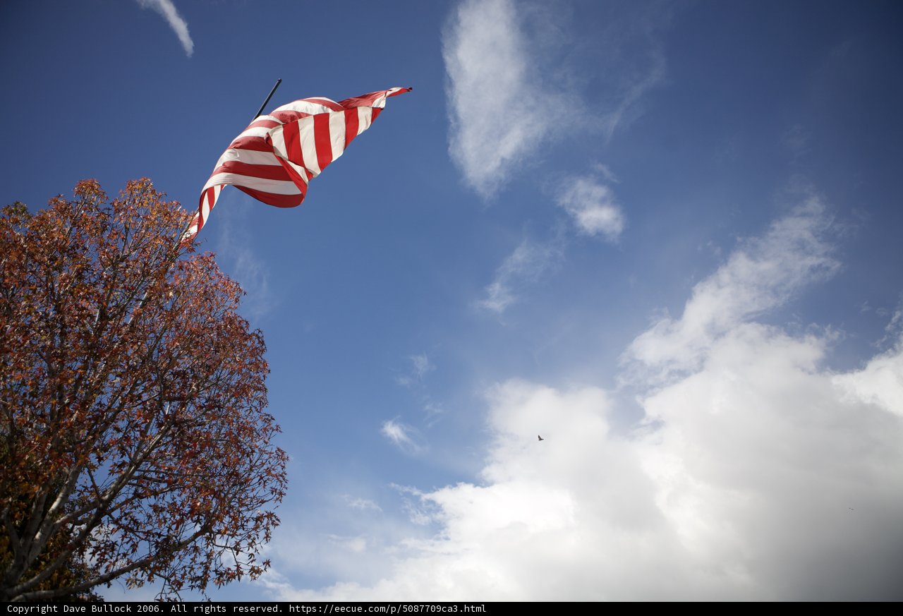 Proudly Waving Old Glory