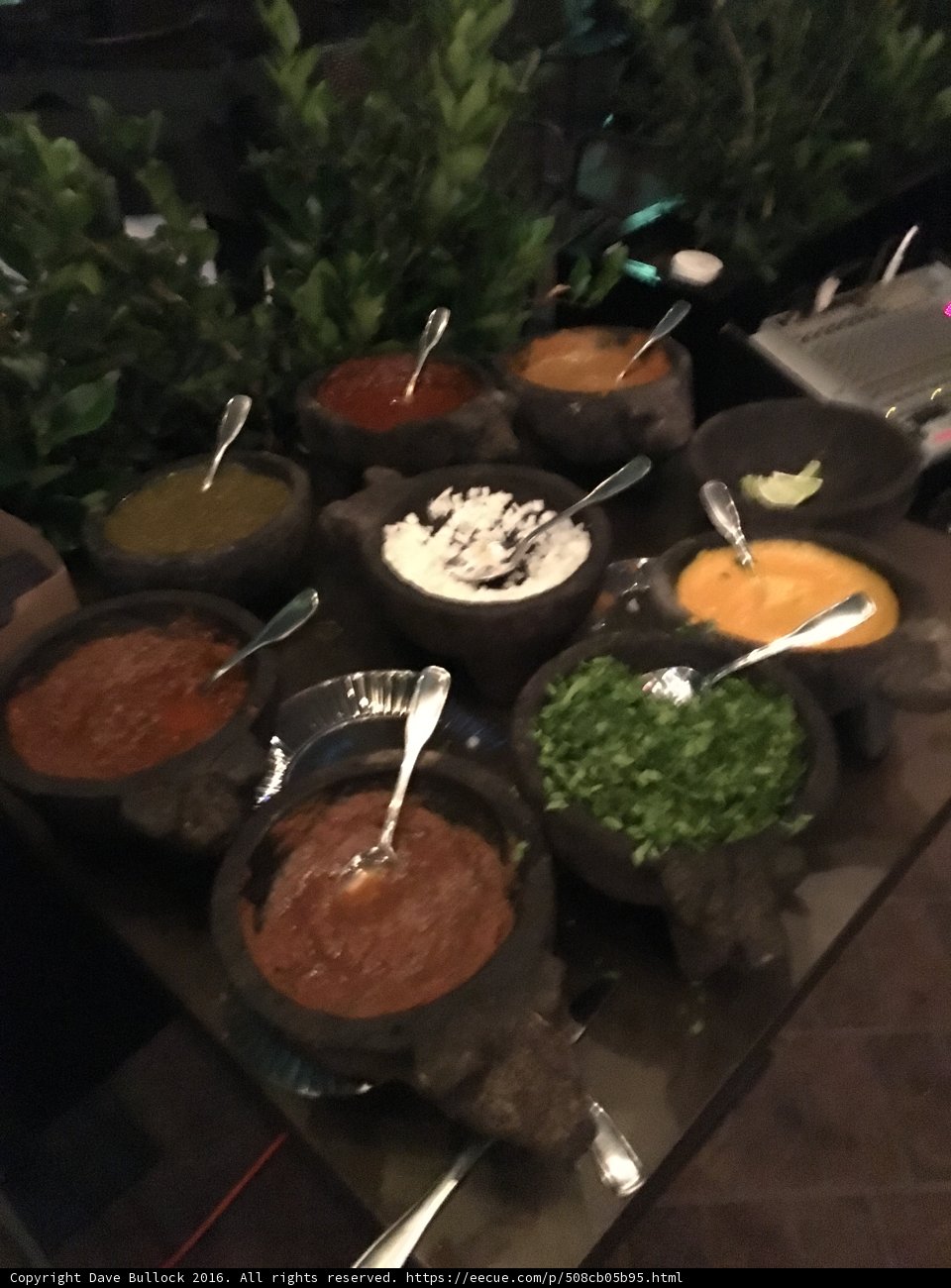A Feast for the Senses
