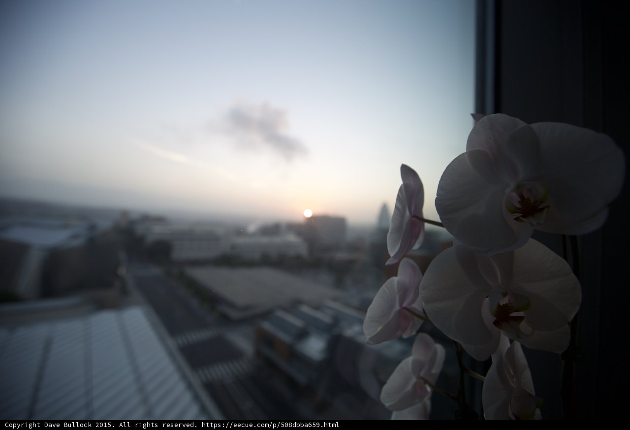 Orchid Sunset Downtown LA