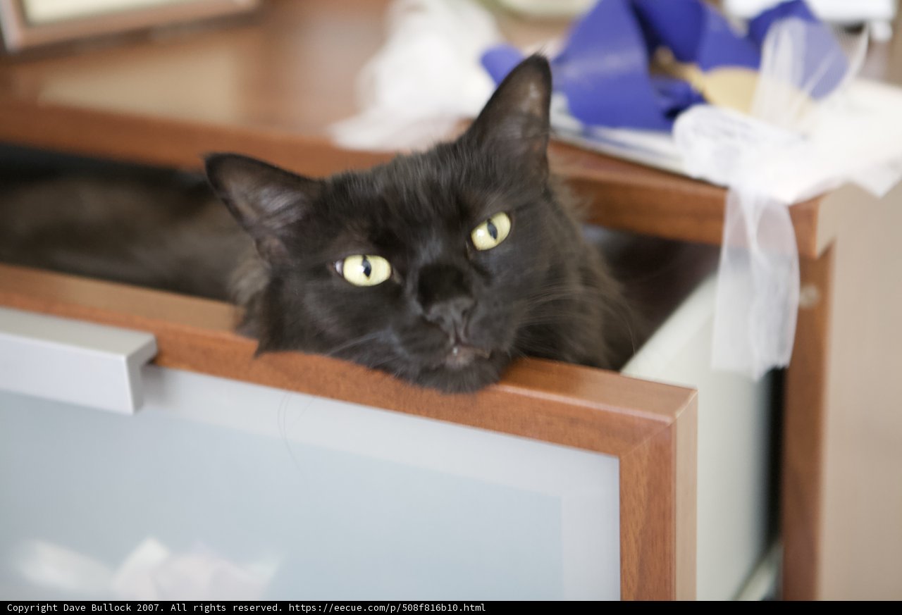 Cozy in the Cabinet