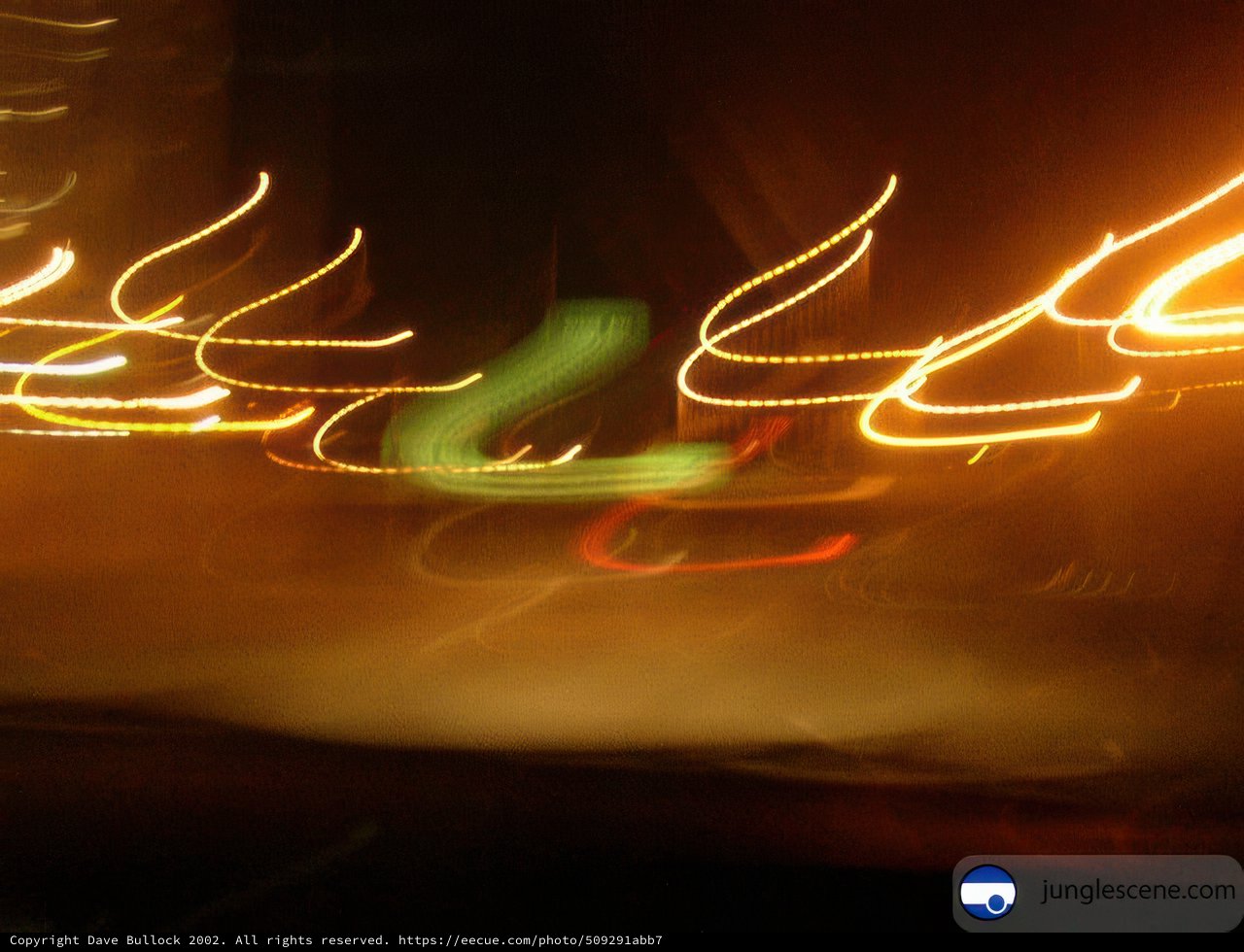 Illuminated Night Drive
