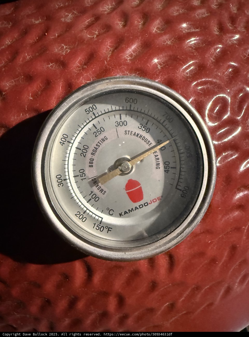 Grilling Precision