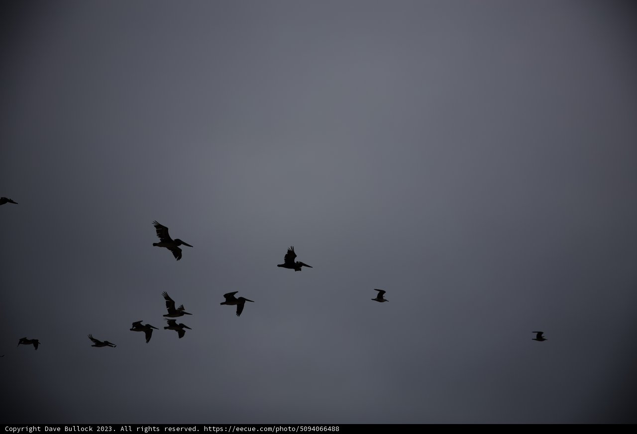The Pescadero Sky Dance
