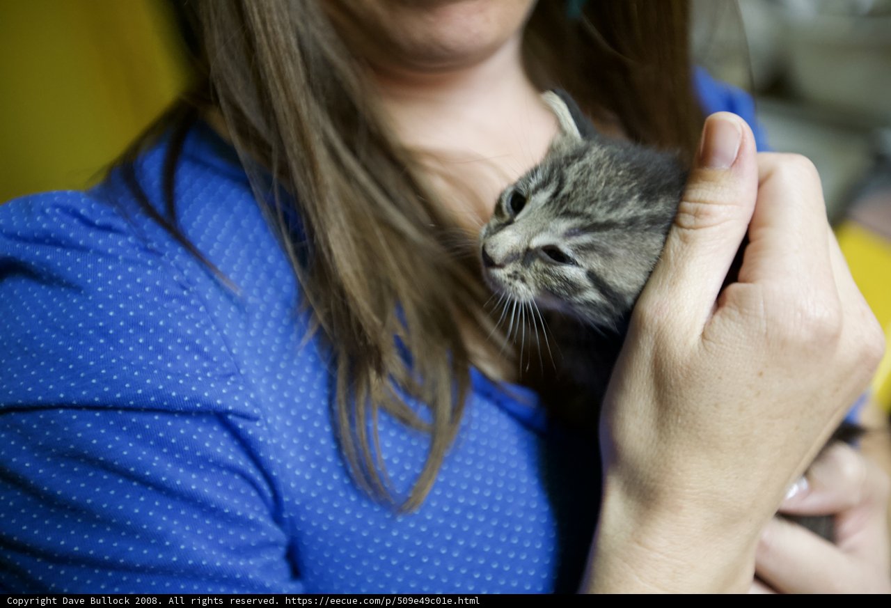 Woman and Kitten in Polka Dots