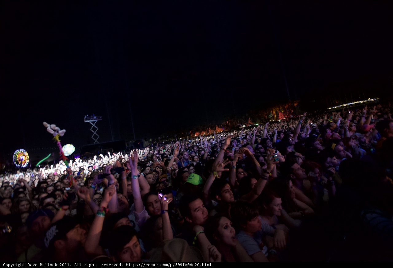 Nighttime Festival Fun
