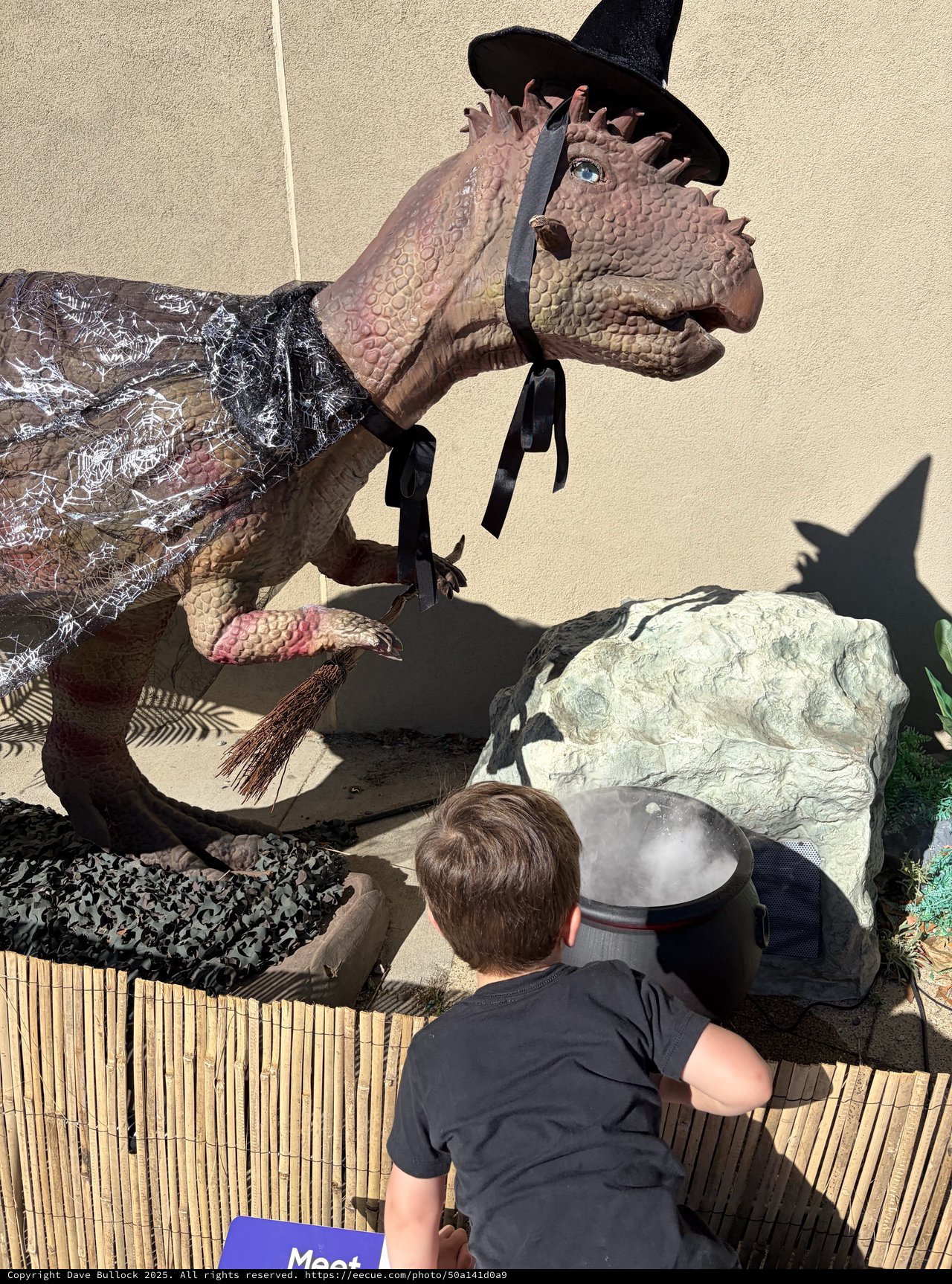 Child's Playful Moment with Dinosaur Witch Display