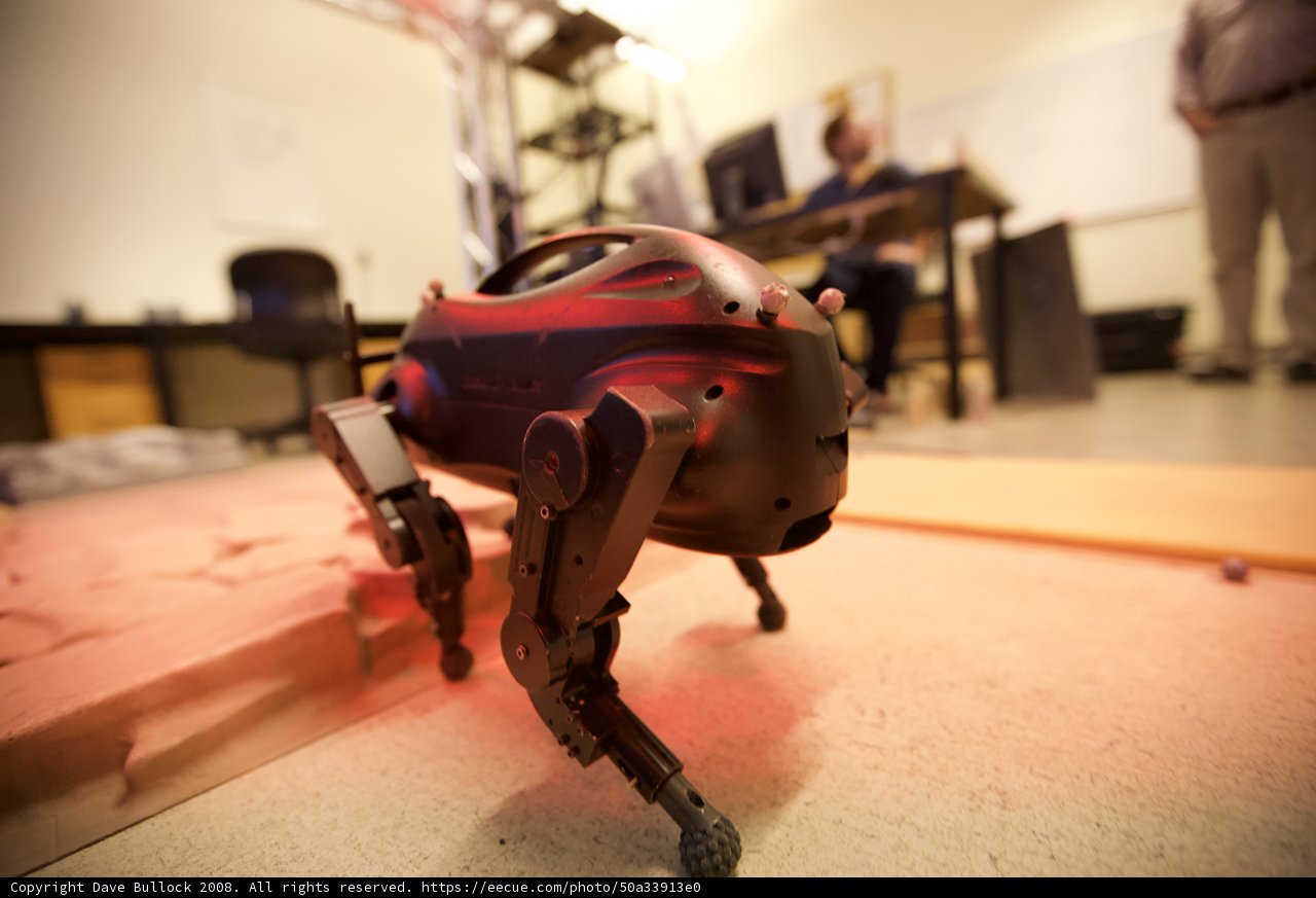 Robot Interaction in a Wooden Room