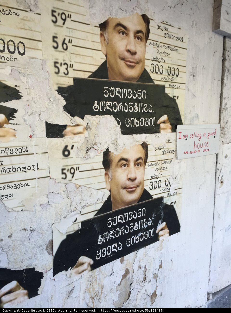 Mikheil Saakashvili Advertisement Poster