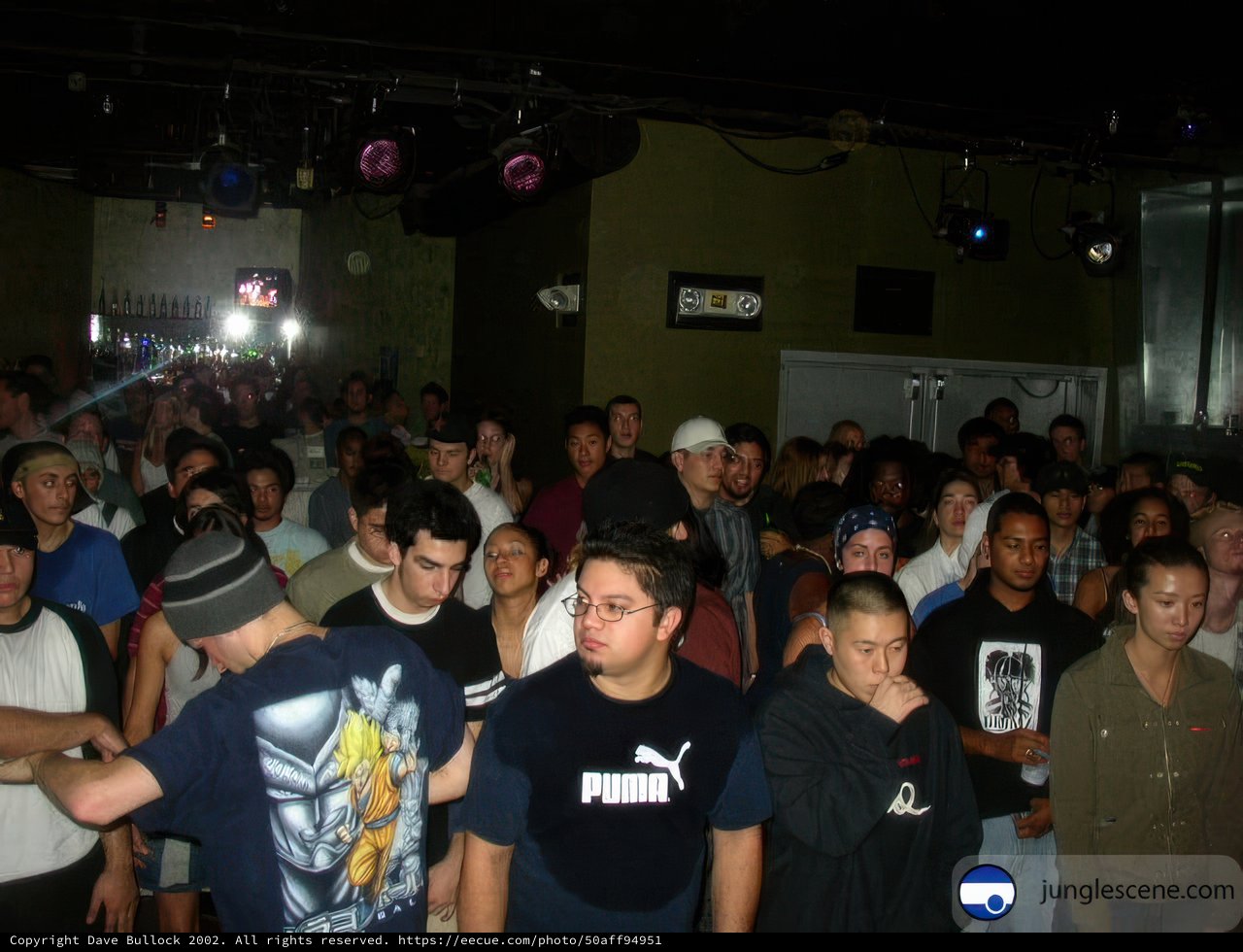 Nightclub Crowd