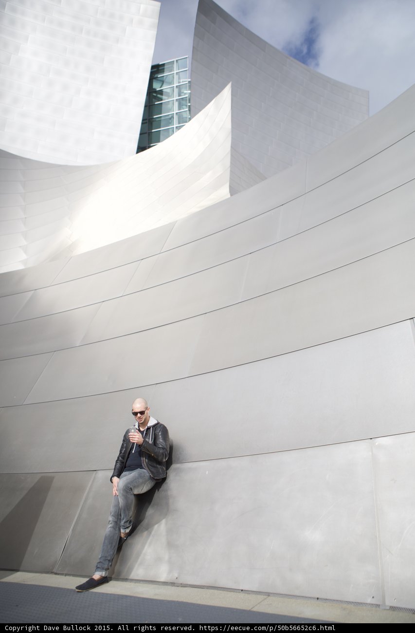 Concert Hall Portrait