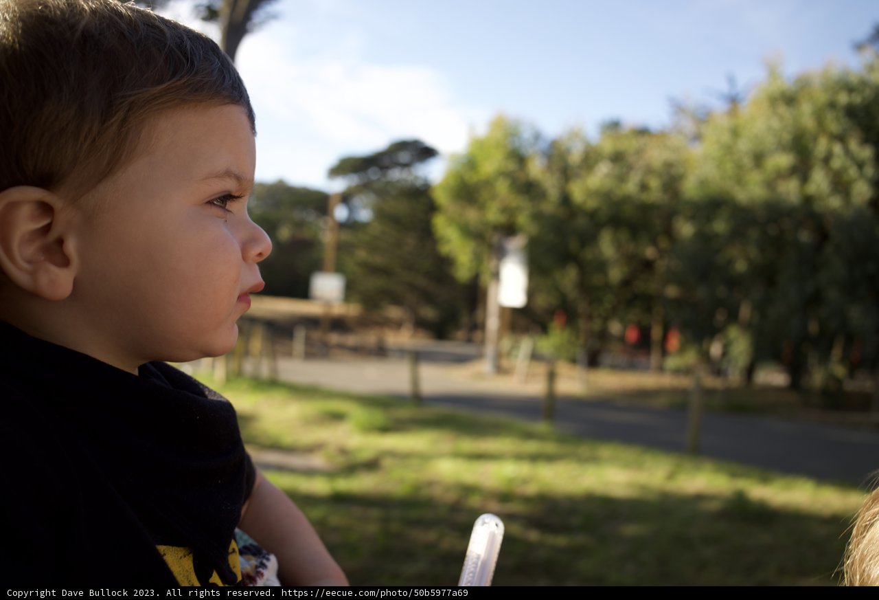 Wesley's High Flying Adventure at the SF Zoo