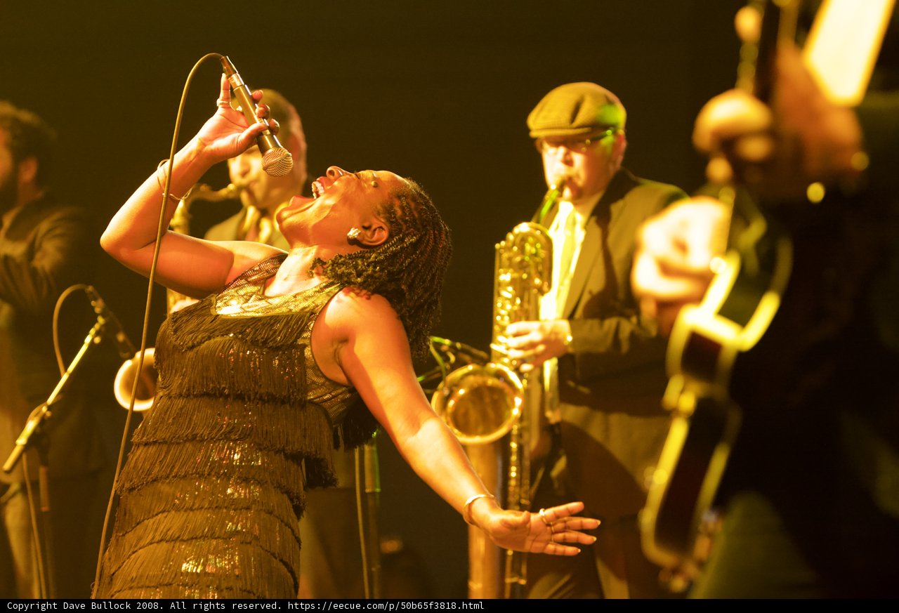 Music Band Performing in Coachella 2008