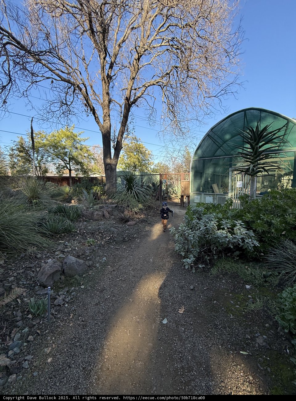 Serene Stroll Through Nature