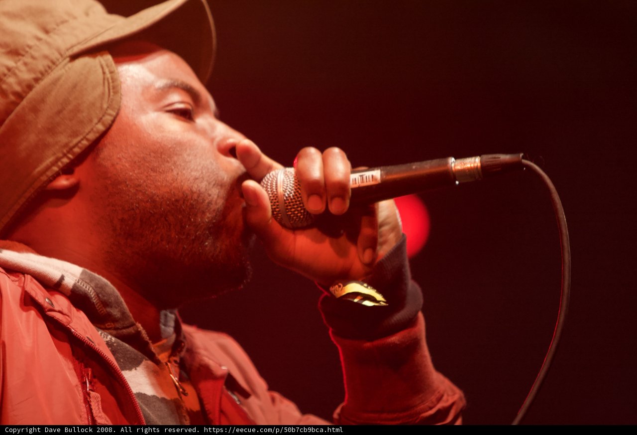 Musical Performance at Coachella