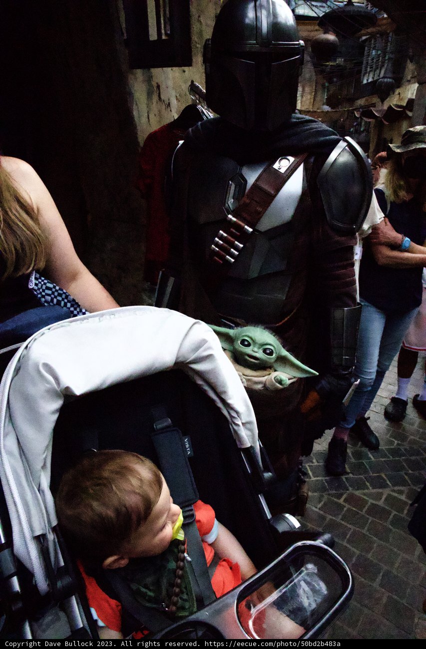 A Knightly Stroll at Disneyland