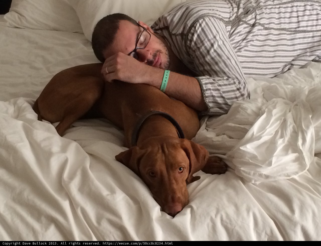 Restful Pups