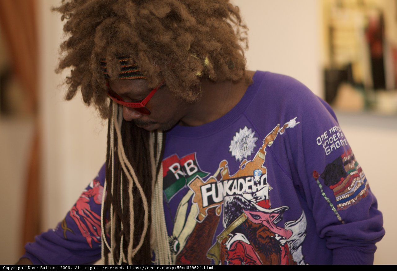 Fashionable Dreadlocks