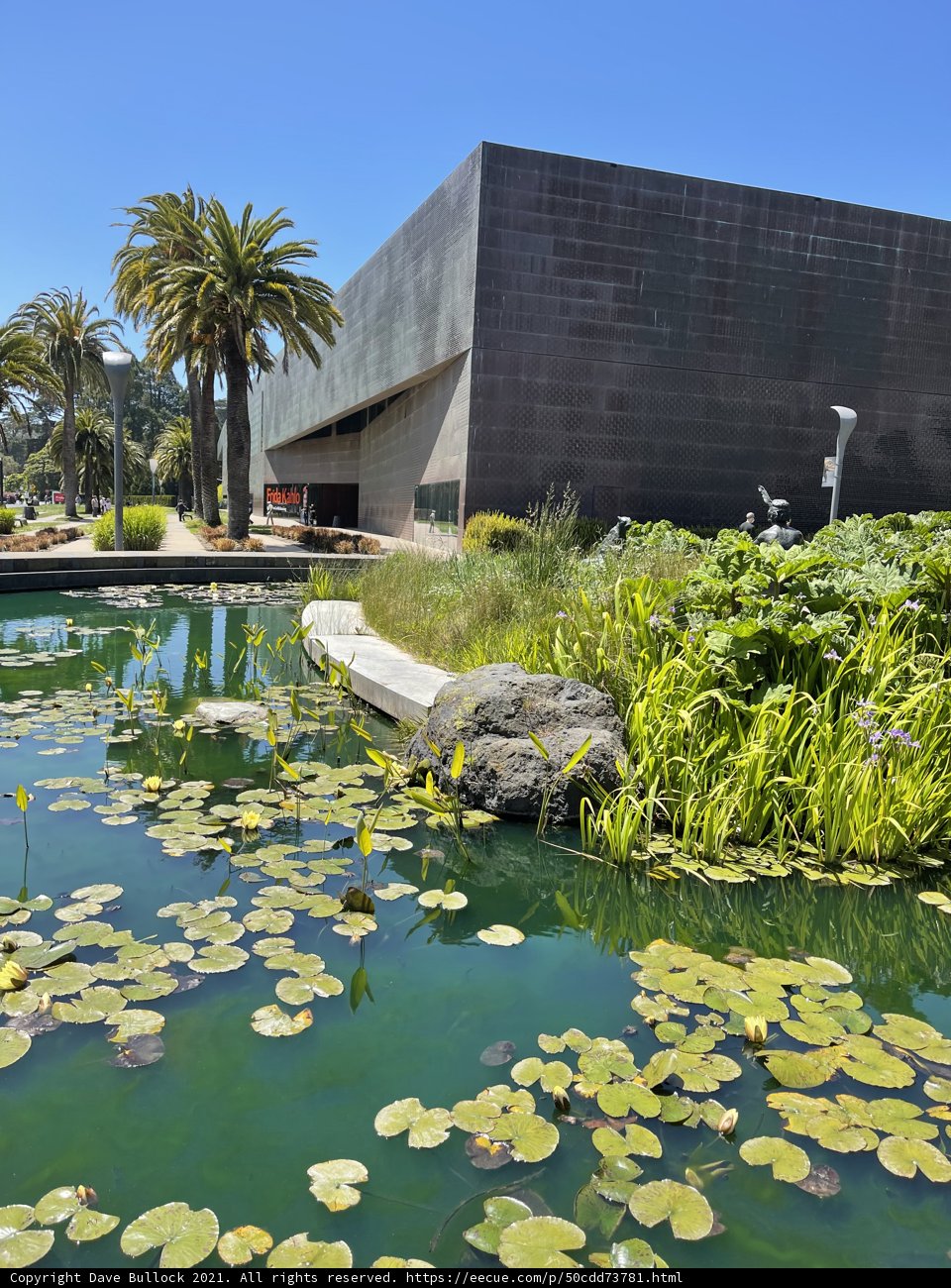 Serene Pond with Water Lilies