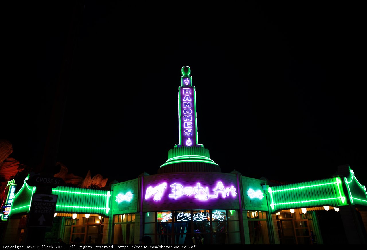 Illuminated Magic Kingdom: A Night to Remember