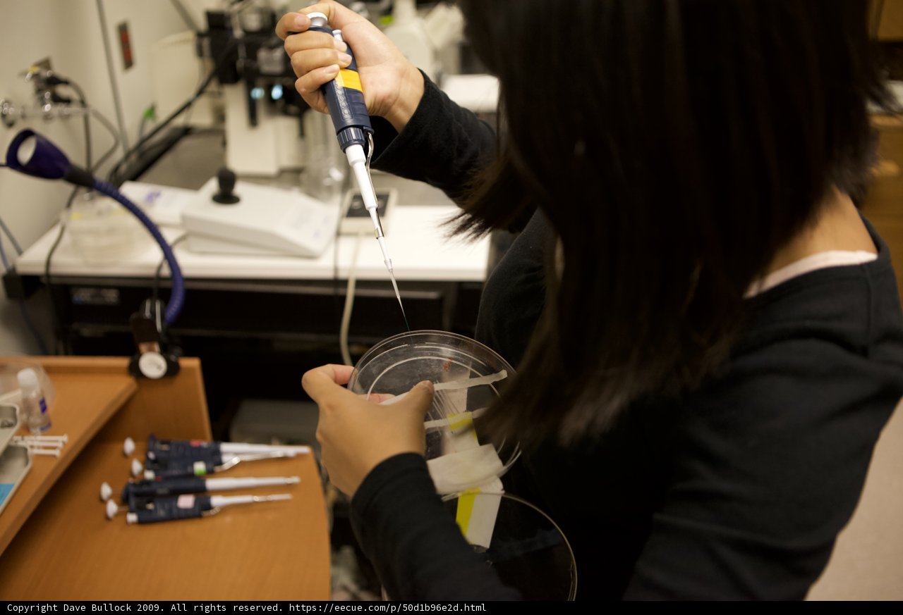 Woman in laboratory filling container