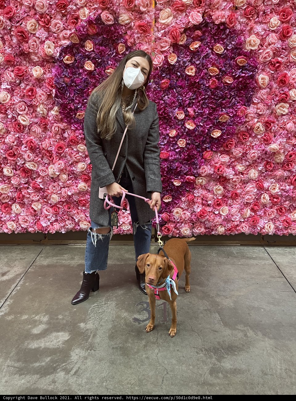 Flower Power Walk with Furry Companions