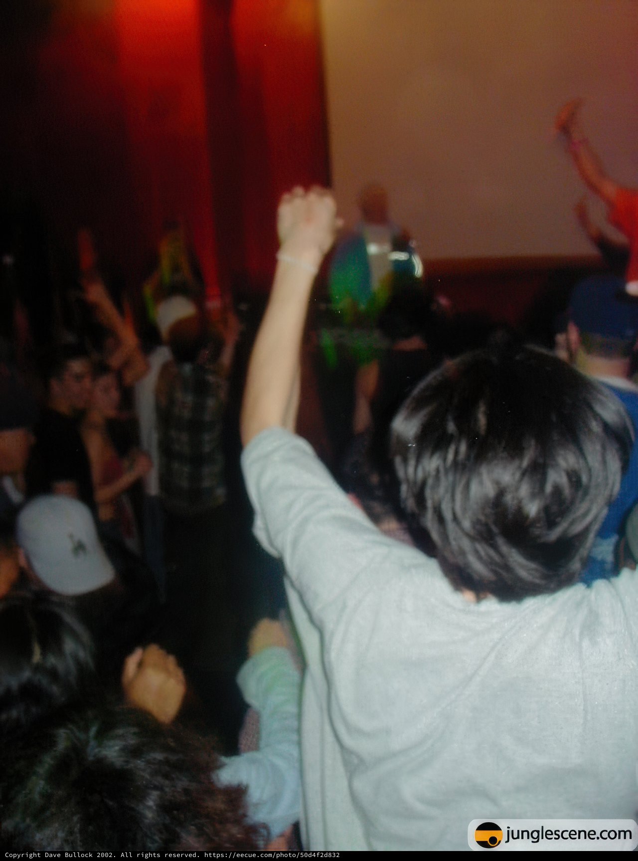 Party people with their hands up