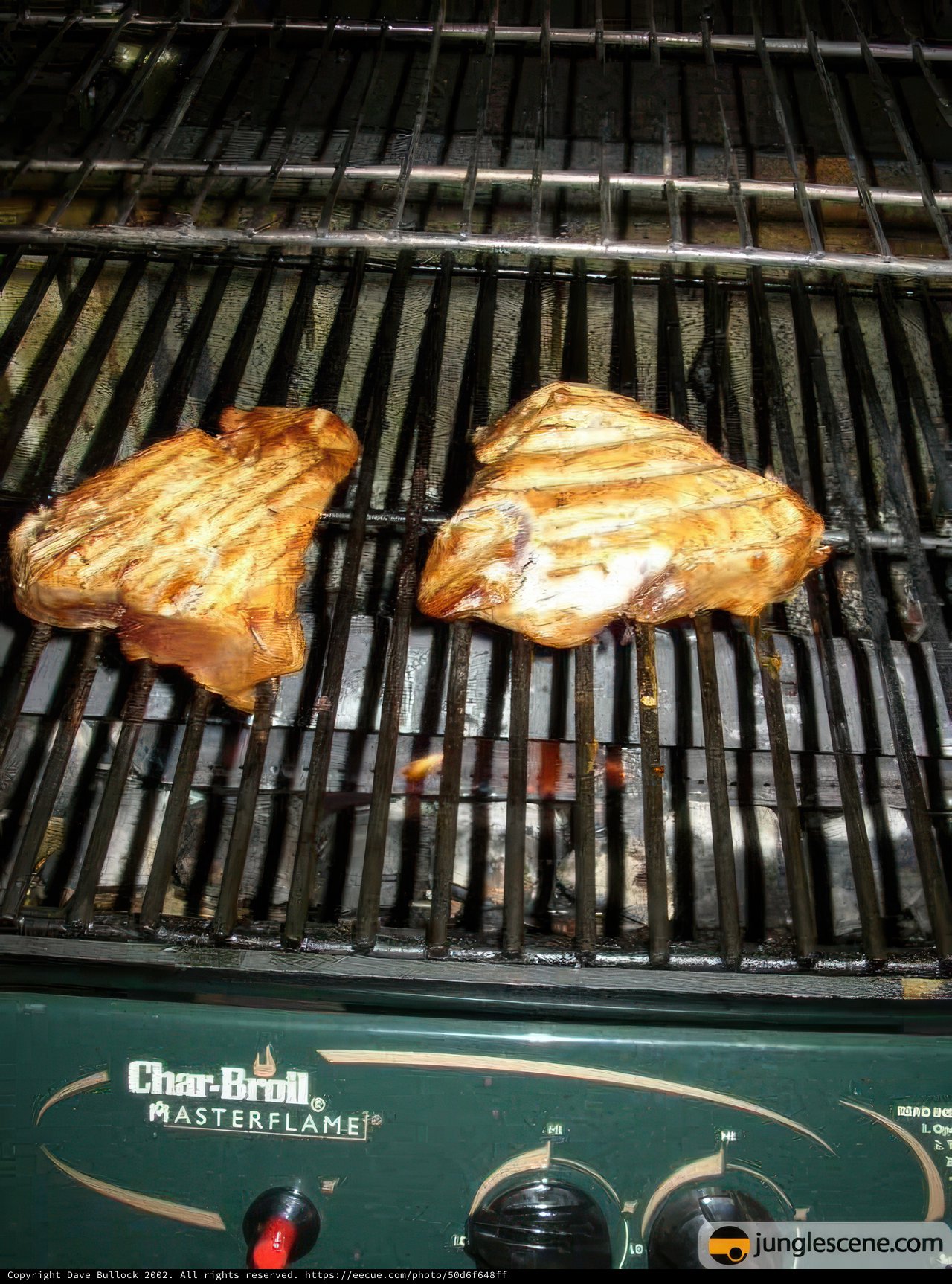 Grilling the Perfect Pork