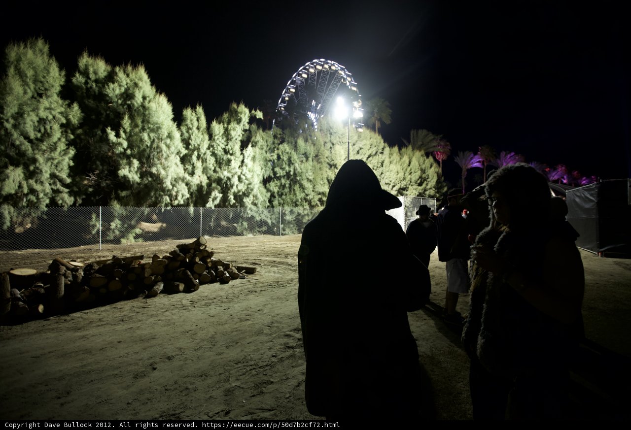 Night Walk by the Ferris Wheel
