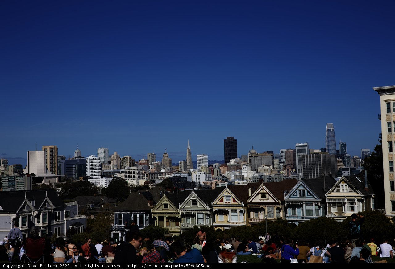 Revel in Urban Beauty: Alamo Square Gathering