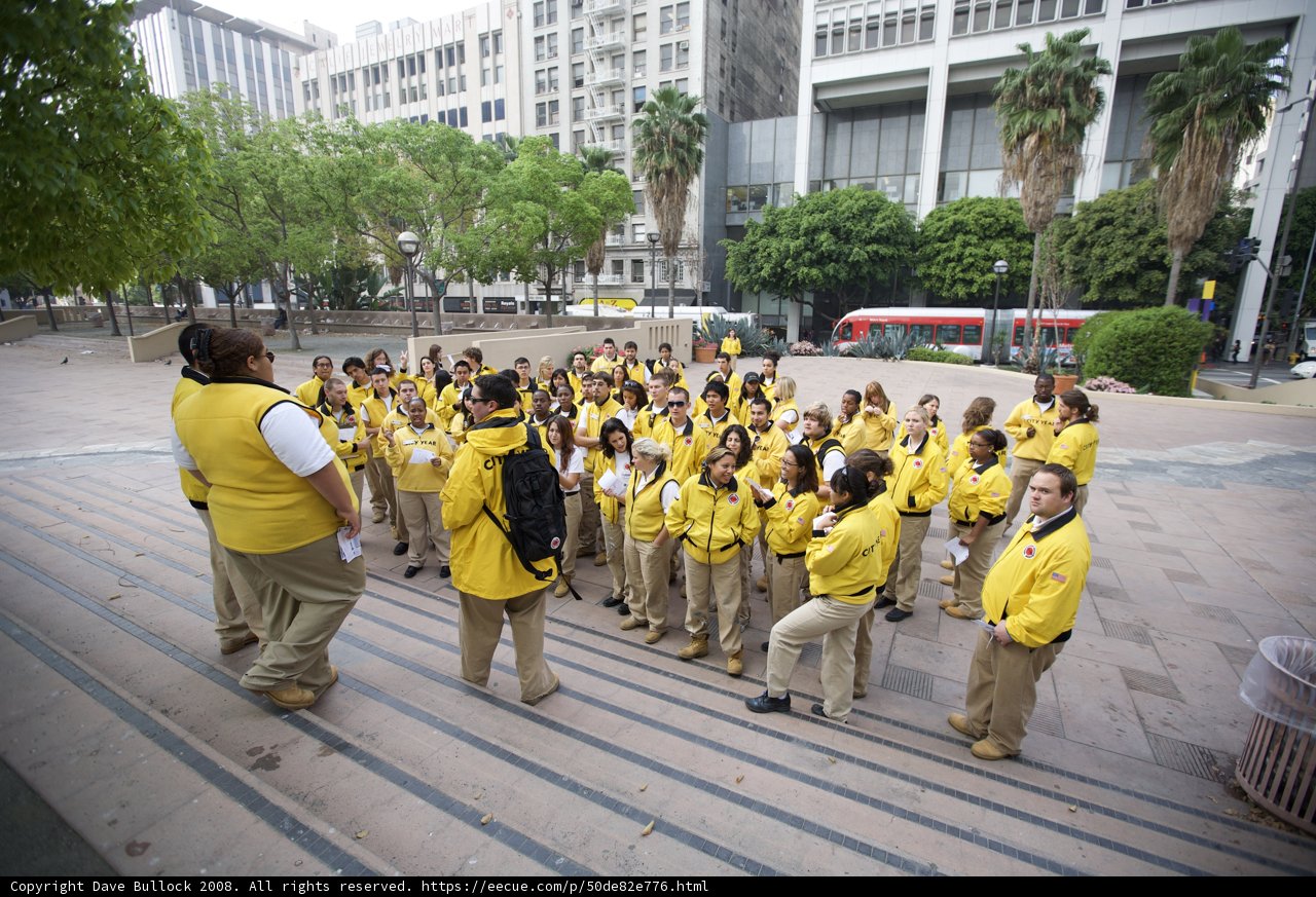 Yellow Jackets on a Walkabout