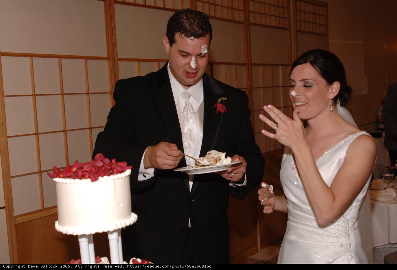 Bride and Groom Smeared with Wedding Cake Frosting