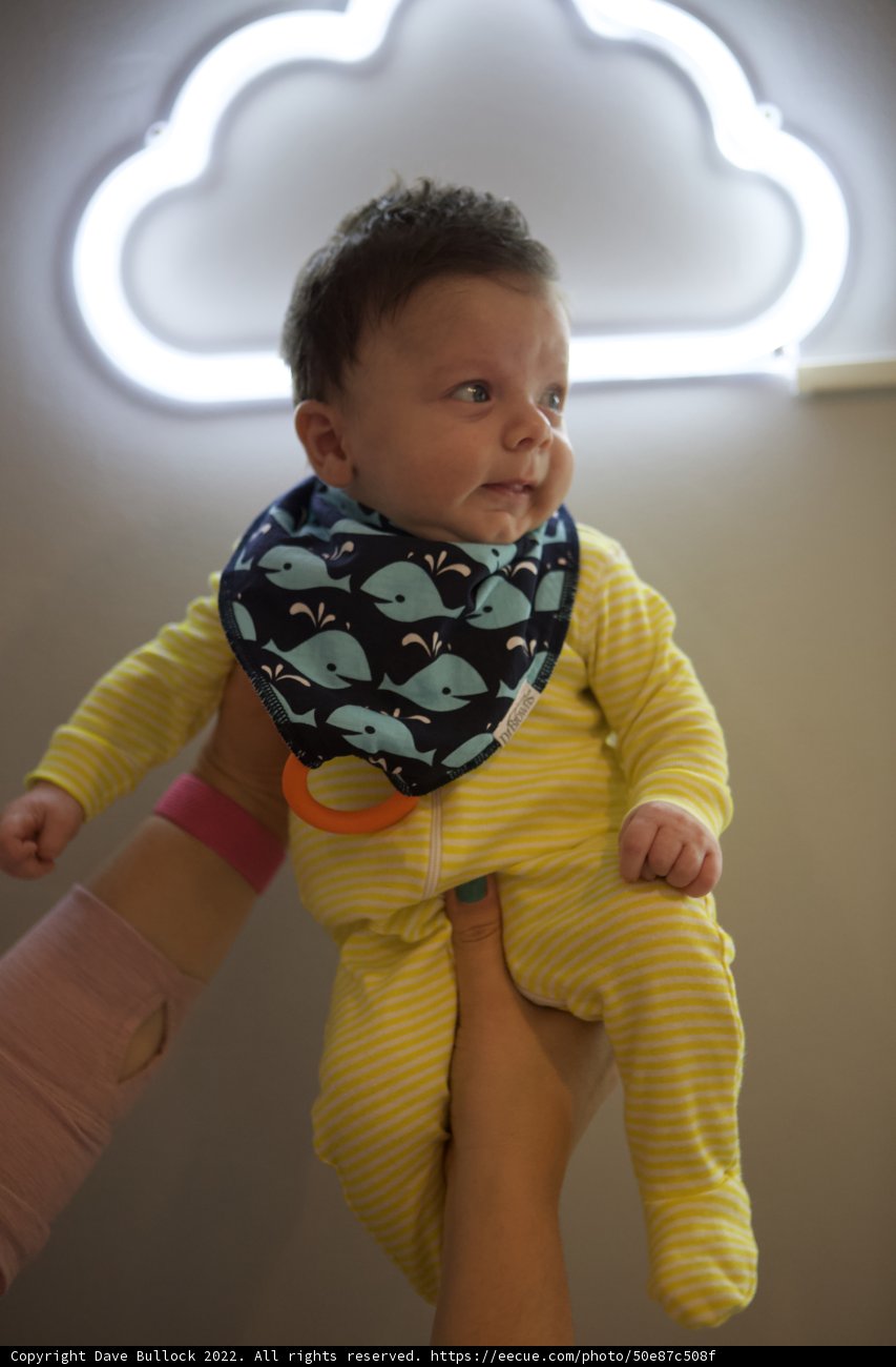 Wesley's Flying High