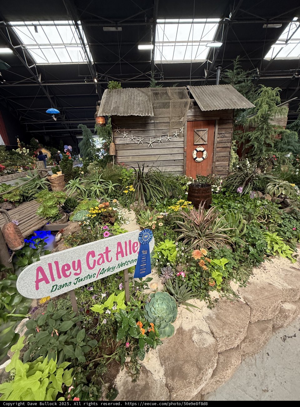 Enchanted Corner: Alley Cat Alley