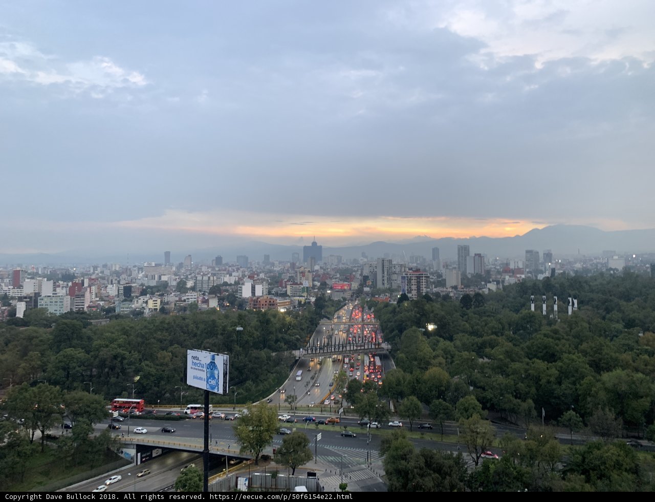 The Urban Jungle from Above