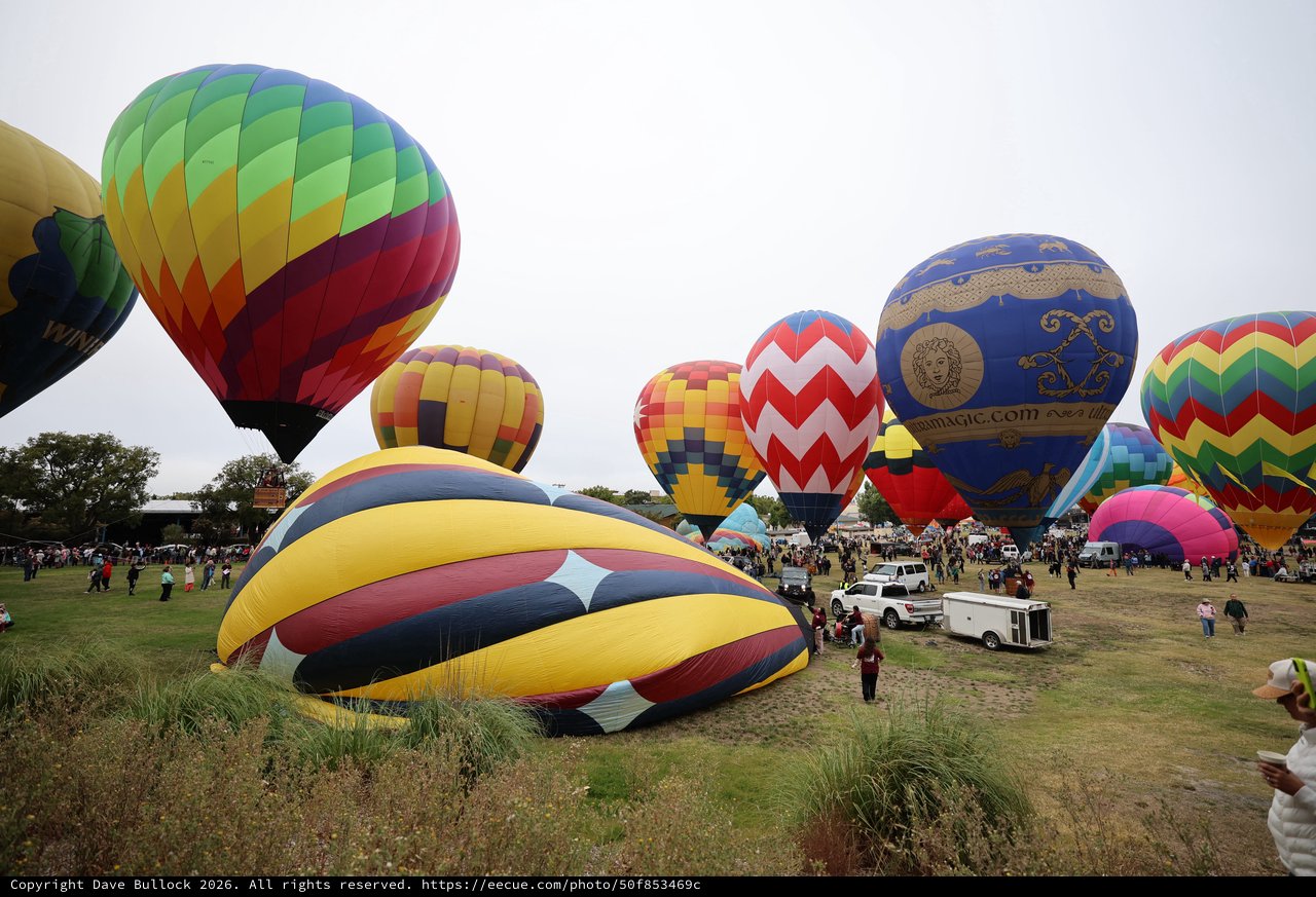 Colorful Hot Air Balloons Fill Festival Grounds at Dawn