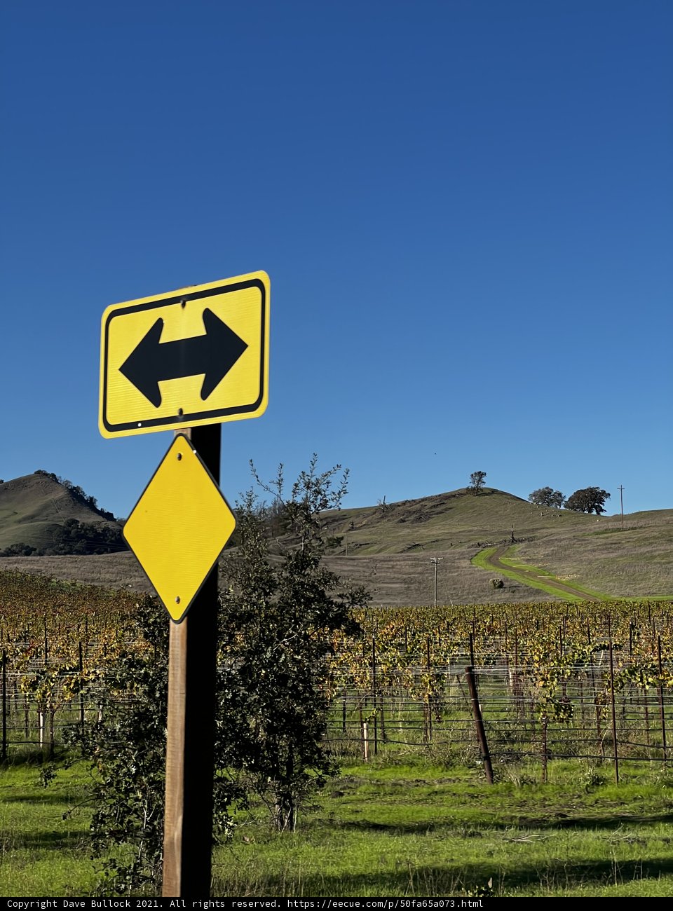 The Maze of Countryside Roads