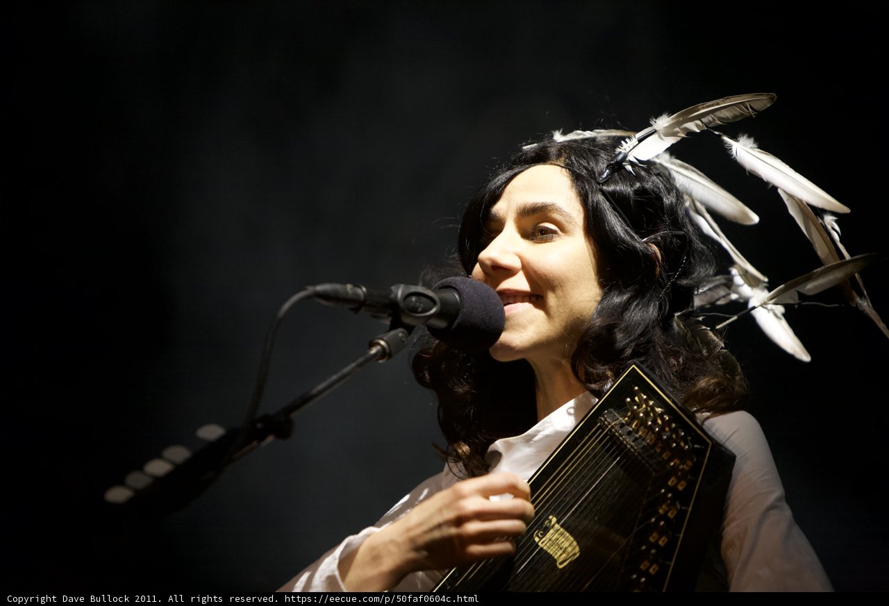 Feathers & Melodies