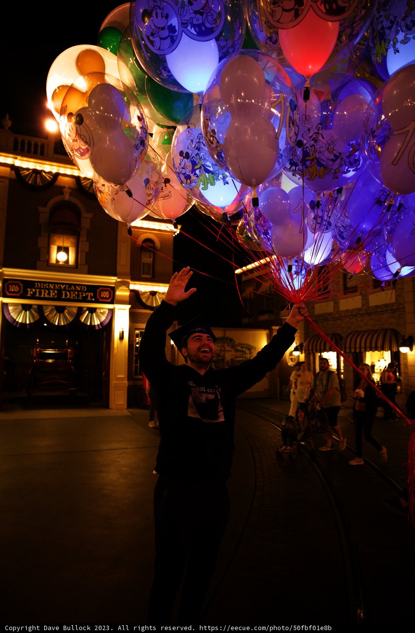 Magical Nights at Disneyland
