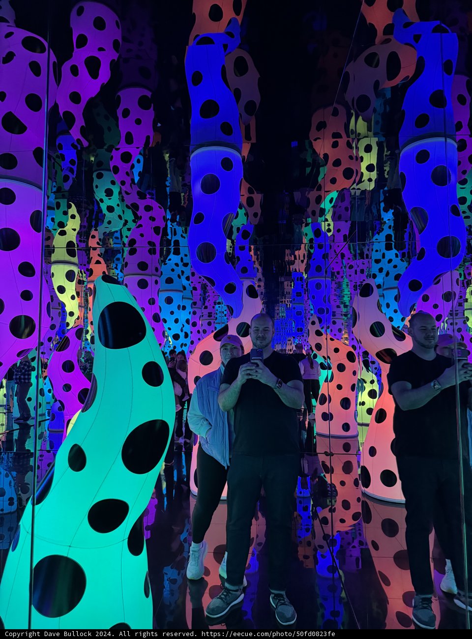 Chaotic Carnival of Colors