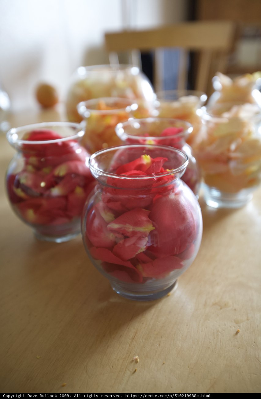 Floral Centerpieces