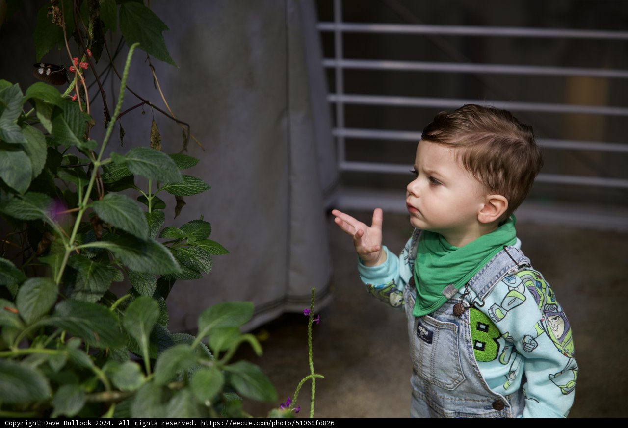 Childhood in Nature: A Young Explorer's Journey
