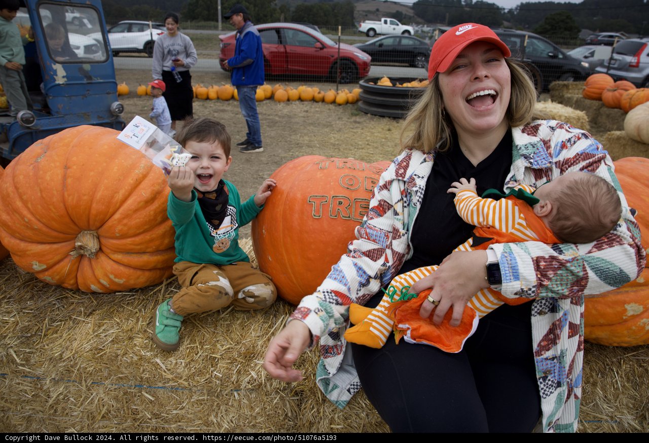 Autumn Joys at the Pumpkin Patch
