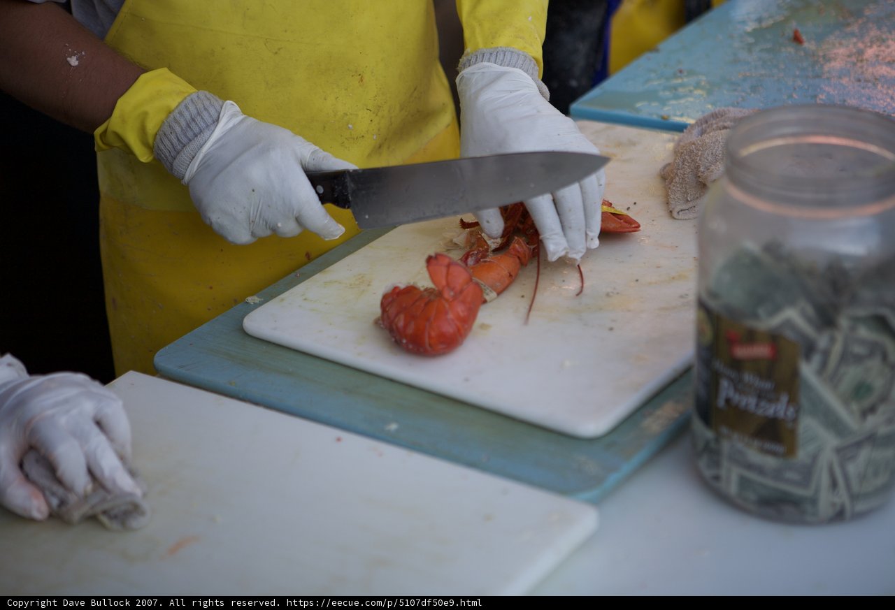 Lobster festival preparation