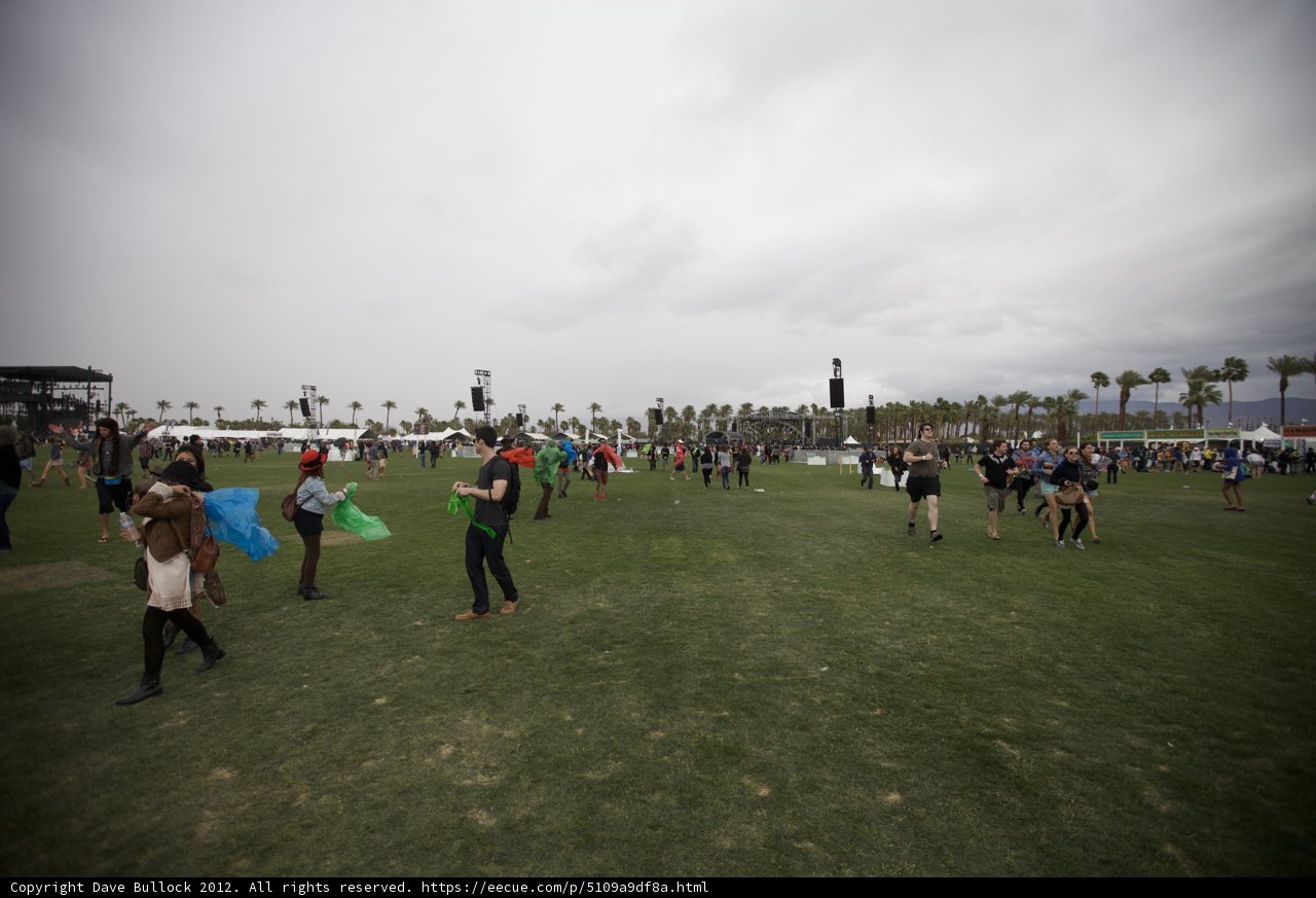Festival Goers Enjoying the Outdoors