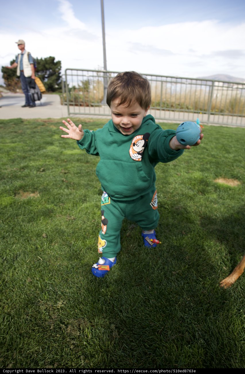 A Day in the Park: Frisbee Fun with Wesley