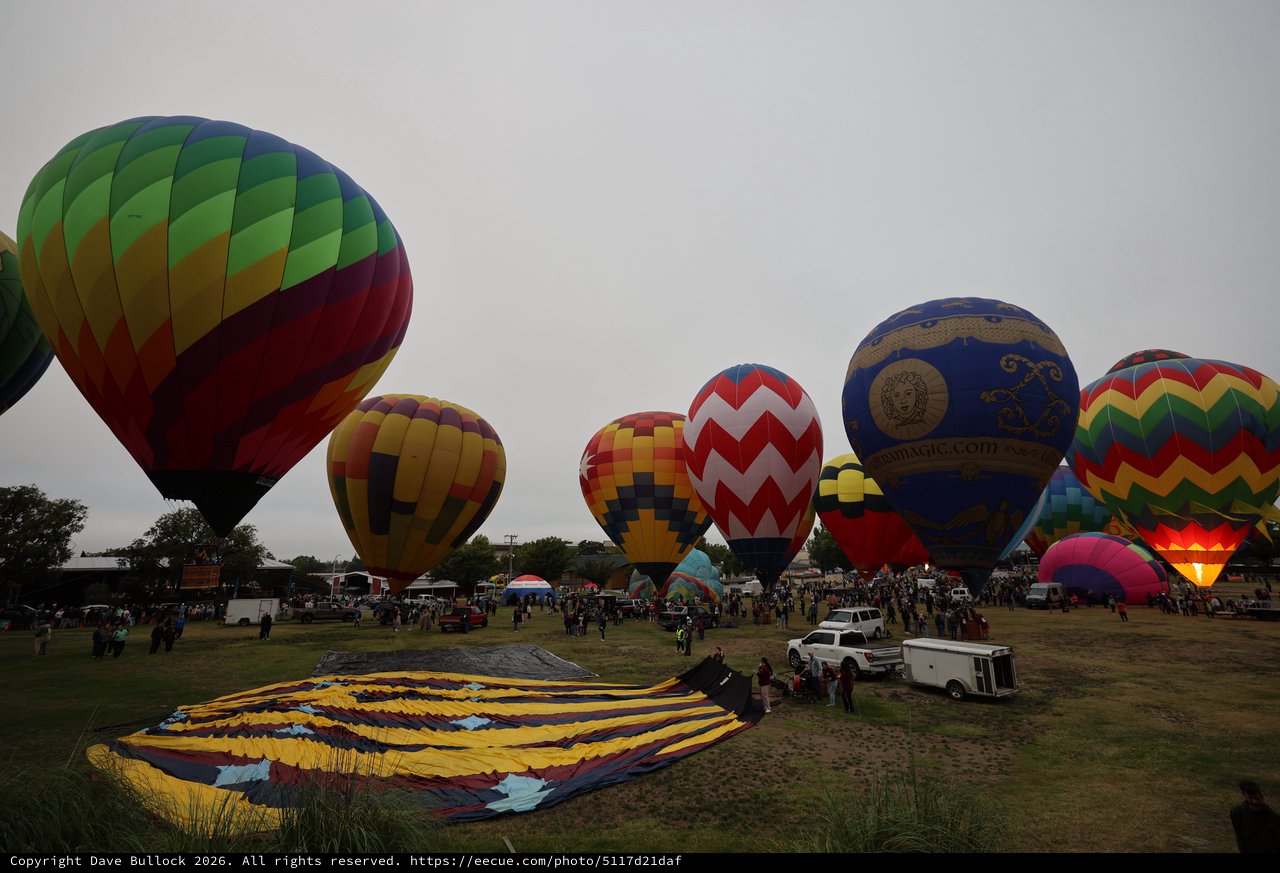 Colorful Hot Air Balloons Rise at Dawn Festival